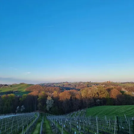 Anivina - Ivanjkovci