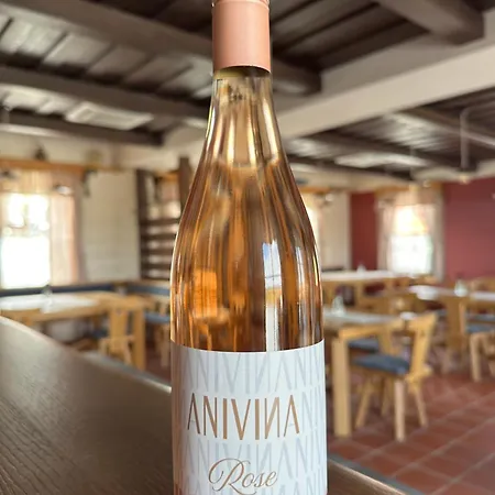 Konukevi Anivina - 3*