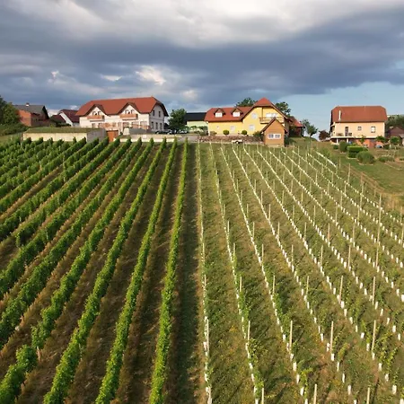 Anivina - Ivanjkovci